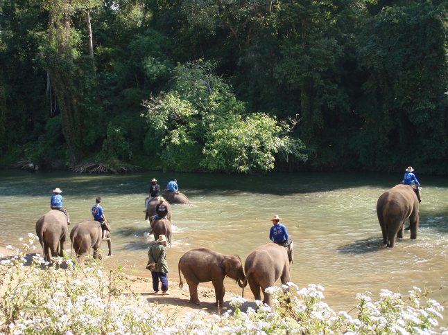 olifantenrit elephant ride thailand